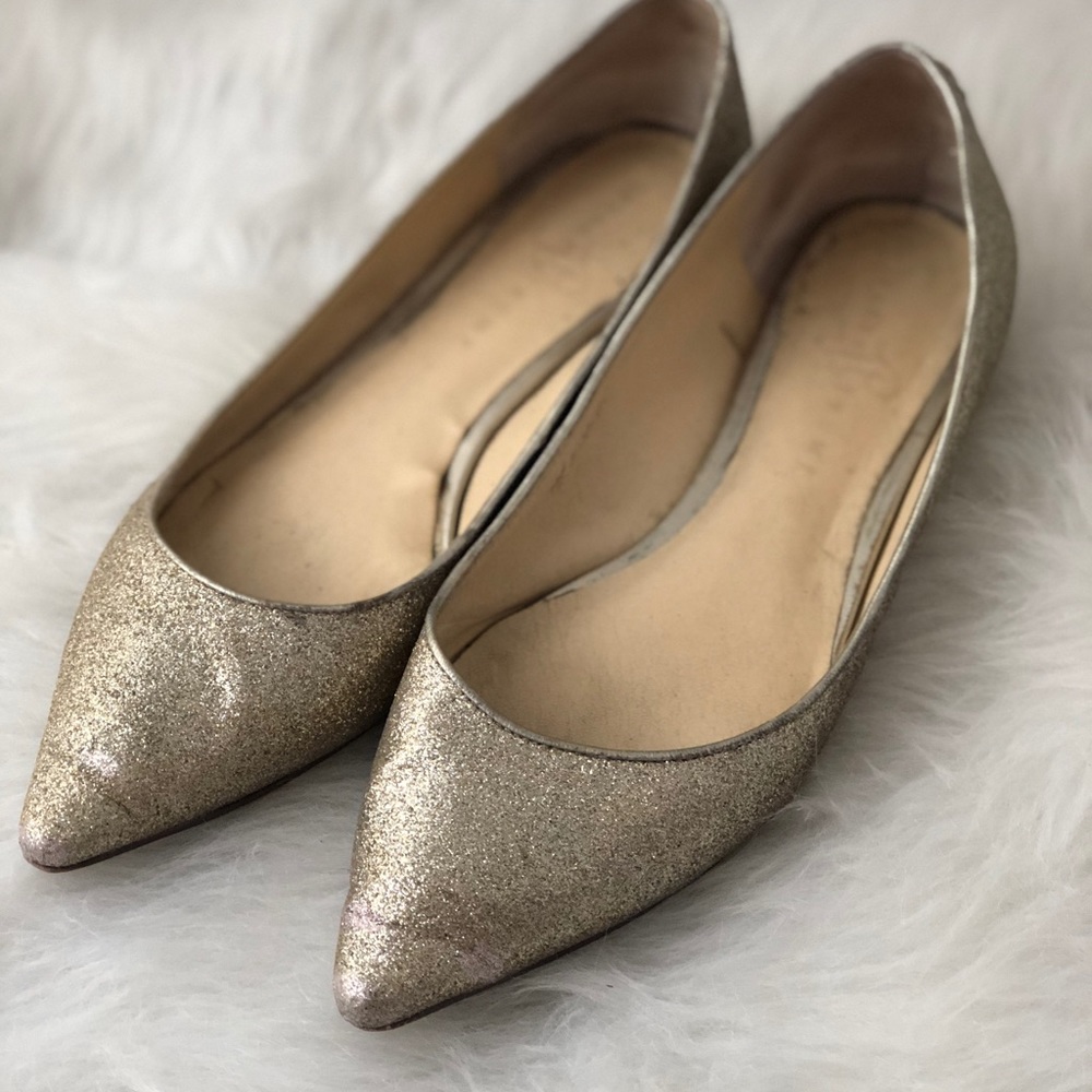 Pointy Toe Flat Glittler Shoes